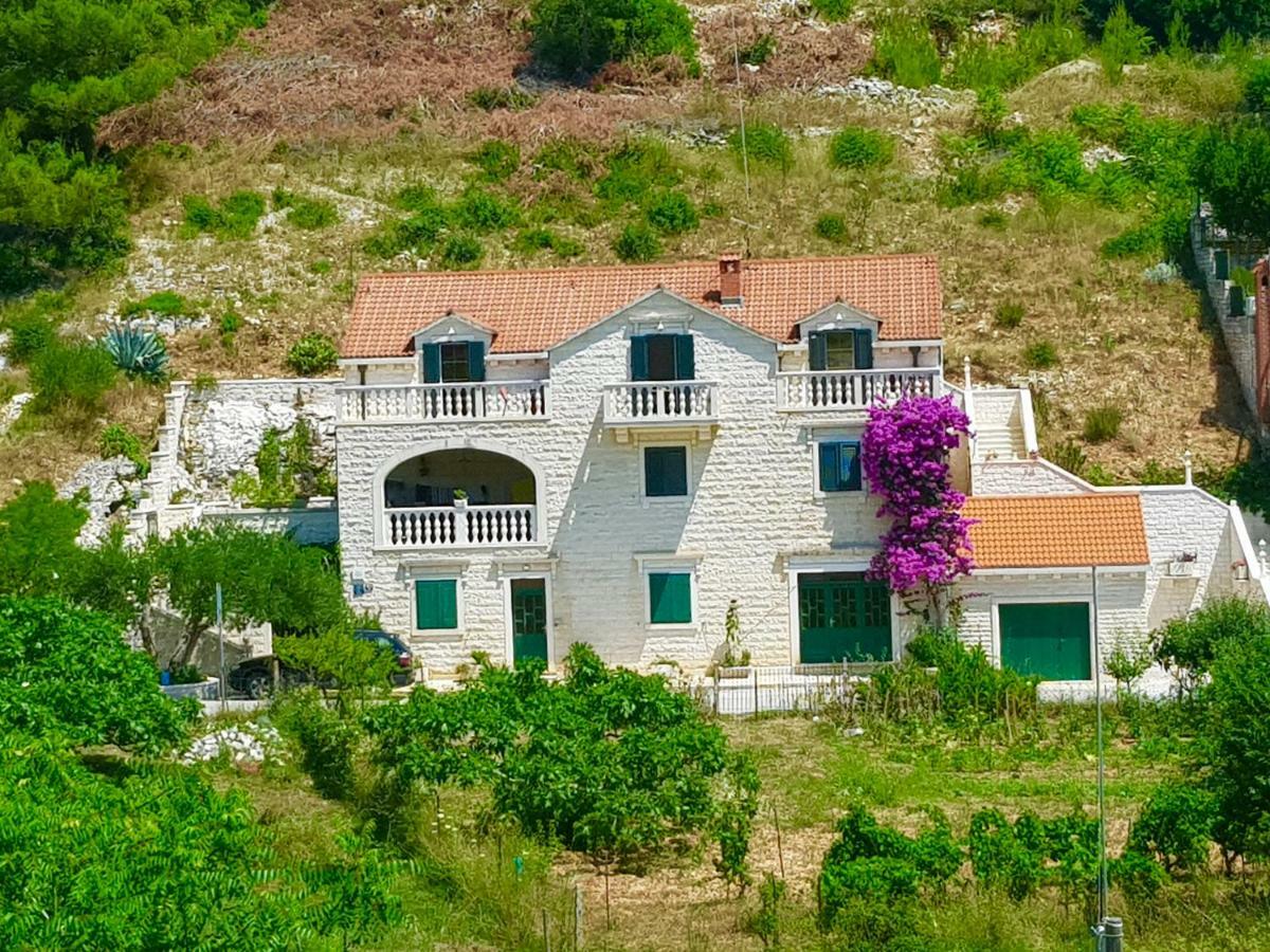Apartments Renata Pucisca Dış mekan fotoğraf